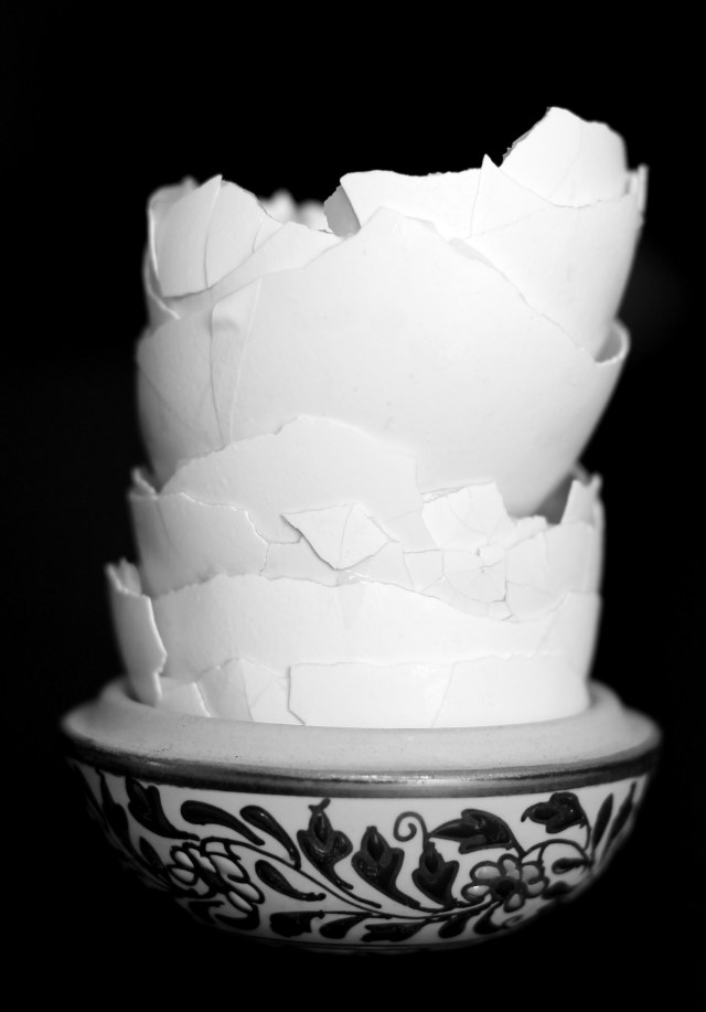 Egg shells picture for Black & White Wednesday photo contest