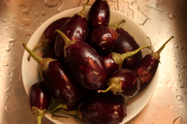 Indian eggplant / brinjals