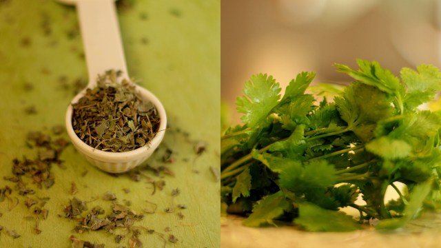 dried-fenugreek-and-fresh-cilantro-herbs